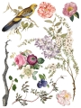 Copy of IOD-TRA-MEN Menagerie transfer artwork page 6 small.jpg
