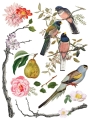 Copy of IOD-TRA-MEN Menagerie transfer artwork page 7 small.jpg