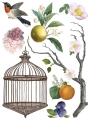 Copy of IOD-TRA-MEN Menagerie transfer artwork page 8 small.jpg