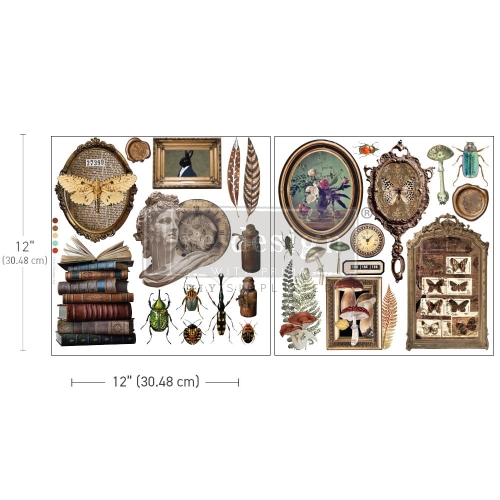 Maxi Transfer Collector's Closet Redesign.jpg