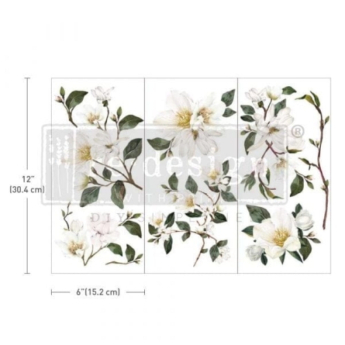 Transfer White Magnolia Biała Magnolia Transfer