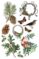 Copy of IOD-TRA-WBT Winter Botanist transfer artwork page 1 small.jpg