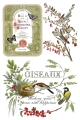 Copy of IOD-TRA-WBT Winter Botanist transfer artwork page 3 small.jpg