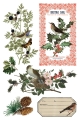 Copy of IOD-TRA-WBT Winter Botanist transfer artwork page 6 small.jpg