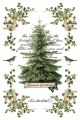 Copy of IOD-TRA-WBT Winter Botanist transfer artwork page 7 small.jpg