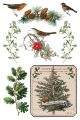 Copy of IOD-TRA-WBT Winter Botanist transfer artwork page 8 small.jpg