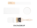 Fusion Paint Snowdrop