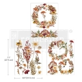 DriedWIldflowers.webp