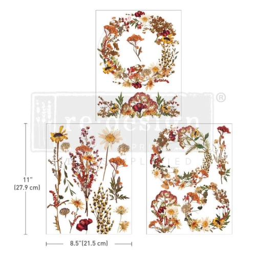 DriedWIldflowers.webp