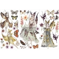 Forest Fairies.webp