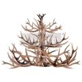 Transfer - Antler Chandelier Redesign
