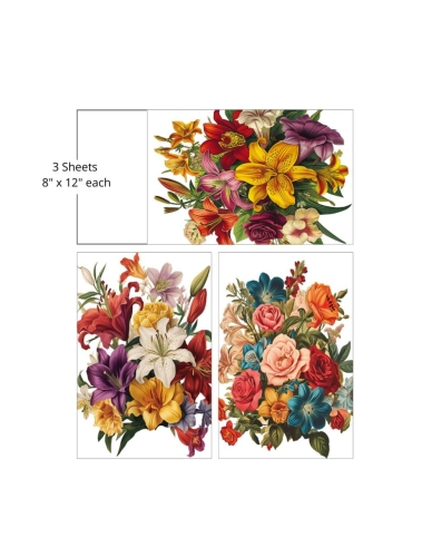 Transfer Dixie Belle Belles & Whistles Belles & Whistles Antique Flora Mid Transfer Zest Mid Transfer