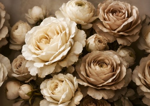 Papier do decoupage Antique Cream – Mint by Michelle A1