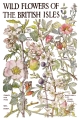 IOD-TRA-PRM Primrose Isle artwork page 1 small.jpg