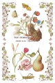 IOD-TRA-PRM Primrose Isle artwork page 6 small.jpg