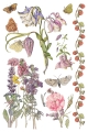 IOD-TRA-PRM Primrose Isle artwork page 7 small.jpg