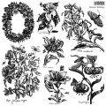 IOD-STA-NAT Nature_s Etchings stamp artwork-01.jpg