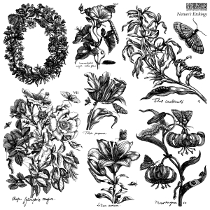 Stemple Nature’s Etchings 