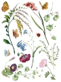 IOD-TRA-MDF Marché des Fleurs artwork page 3 small.jpg