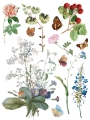 IOD-TRA-MDF Marché des Fleurs artwork page 4 small.jpg