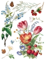 IOD-TRA-MDF Marché des Fleurs artwork page 5 small.jpg
