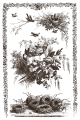 IOD-INL-LIT Little Lark artwork-01.jpg