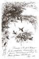 IOD-INL-LIT Little Lark artwork-05.jpg