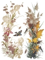 IOD-TRA-FBP Flowers by the Poets artwork page 2 small.jpg