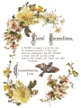 IOD-TRA-FBP Flowers by the Poets artwork page 7 small.jpg