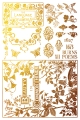 IOD-FOI-ATH Athenaeum foil final artwork-02.jpg