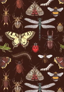 Papier decoupage Belles & Whistles Rice Decoupage Paper Papier Entomology Archive A2