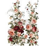  Transfer Scarlet Embrace Redesign with Prima