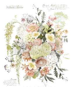 Transfer Life in Full Bloom Redesign with Prima