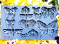 monarch.jpg