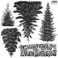 IOD-STA-WIG Winter Grove artwork.jpg