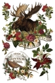 IOD-TRA-STG Stag Tavern transfer page 7 SMALL.jpg