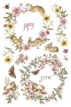 IOD-TRA-TBD The Bramblewood Diaries page 3 SMALL.jpg