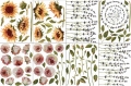 FLORAL.jpg