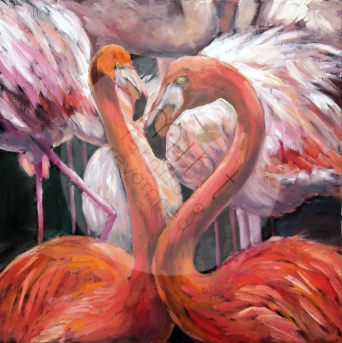 Flamingo.jpg