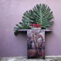 Flamingo_Shed Eleven.jpg