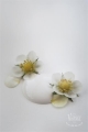 Soft Cream 2.jpg