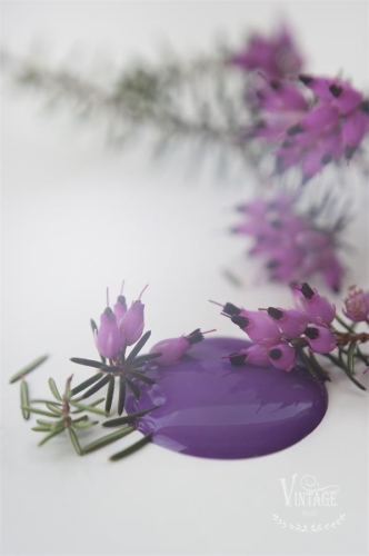 Dark Purple.jpg
