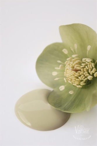 Antique Green.jpg