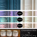 CHAMELEON-DIXIE.png