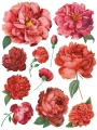 Redoute_page_5_sml.jpg