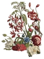 JUNE_p1_sml.jpg