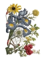 JUNE_p2_sml.jpg