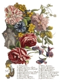 JUNE_p4_sml-.jpg