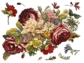 Floral_Anthology_p1_sml-2000x1500.jpg