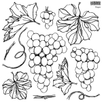 DECOR STEMPEL DUŻY IOD - grapes + maska ostatnie sztuki ! 